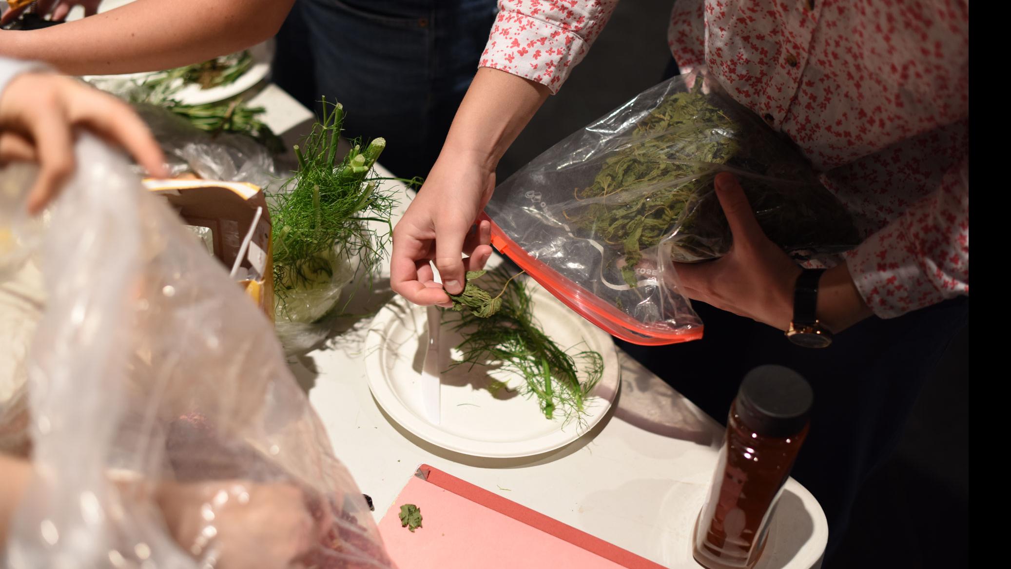 A person’s hand places dill onto a paper pate, with other hands, a bottle of honey, dill plants and plates on the side.