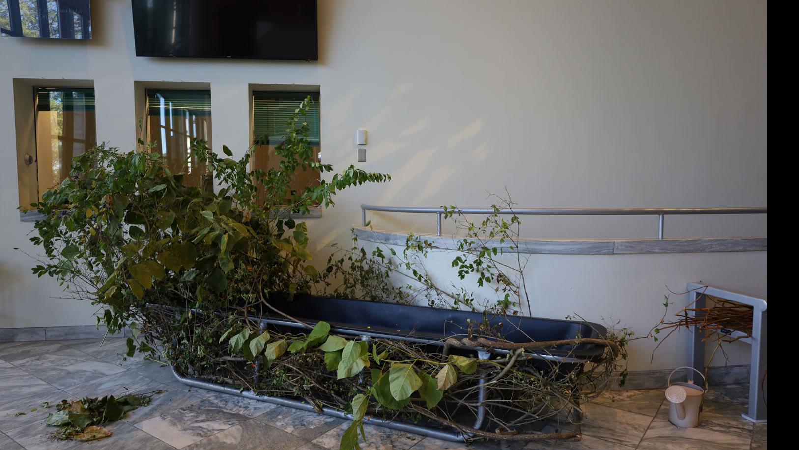 Tree branches in a boat frame, tree branches on a bench, a watering can, and dirt on the floor in the Schwartz Center lobby. 